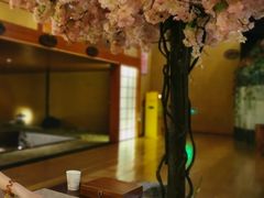 -汤泉良子(金源店)