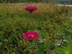 -白塘生态植物园