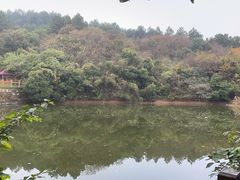 -枫露马术学院(藏书校区)