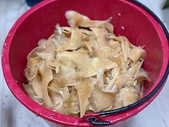 -大中鱼翅 Taitong Shark Fin