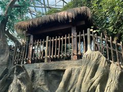 -祥源·阜阳生态乐园