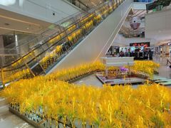 -万隆广场(昆仑大街店)