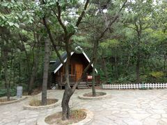 -燕窝岭