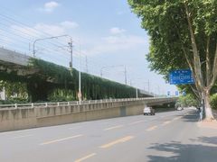 -金陵花卉交易市场