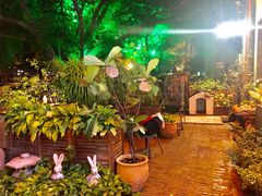 -more than meow吴止猫主题餐厅(承德 中船汇店)