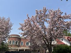 -天津五大道文化旅游区