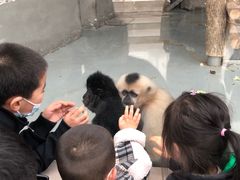 -太原动物园