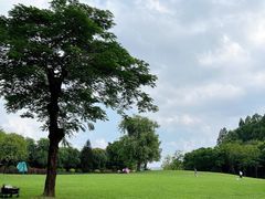 -顺峰山公园