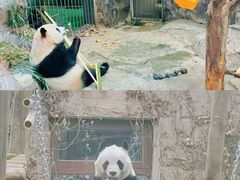 -泉城欧乐堡梦幻世界