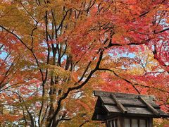 -常寂光寺