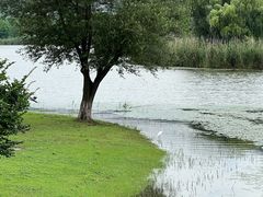 -长广溪湿地公园