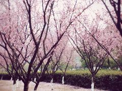 -白塘生态植物园