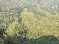 -黄金寨原生态旅游区