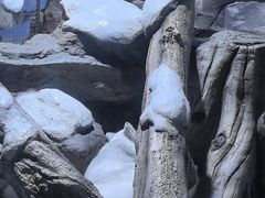 -杭州长乔极地海洋公园
