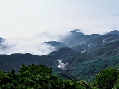 -天柱山风景区