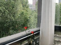 -月迷津渡(吾悦国际店)