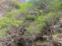 -九龙潭景区