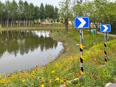 -东郊湿地公园