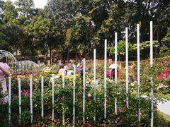 -人民公园(罗湖区)