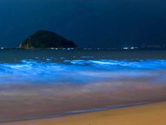 -西涌国际滨海旅游区