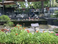 -蘇河湾·新鲁菜·泰山宴(泰山店)