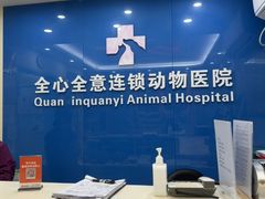-全心全意连锁动物医院·微创中心·内科急重症·心脏专科(丰管路店)