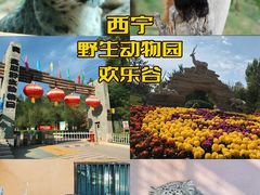 -青藏高原野生动物园