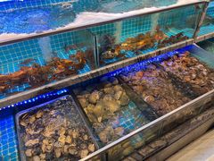 -渔家风味·鲅鱼水饺·央视展播·海鲜天津菜(开发区店)