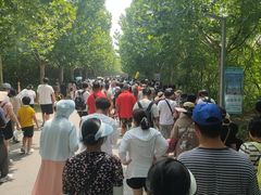 -渔岛海洋度假区