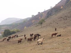 -塞罕坝国家级自然保护区