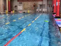 -飞鲨游泳培训学校