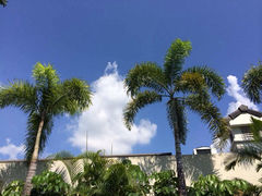 iphone_upload_pic-候鸟水榕庄度假酒店