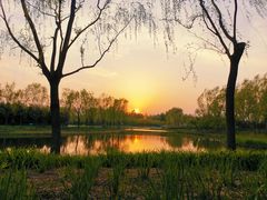 -东郊湿地公园