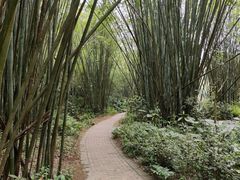 -广州市白云山风景名胜区