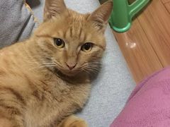 -总动员动物医院(宝丰院店)