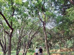 -天河儿童公园