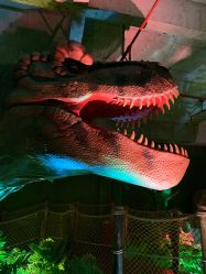 -恐龙探索乐园(磁器口店)