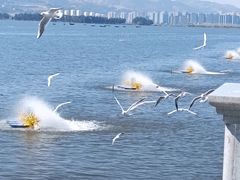 -滇池海埂公园