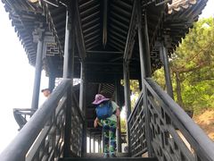 -石老人观光园