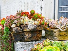 -寂照庵