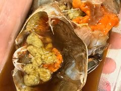 生腌红膏蟹-蜀都冒菜·酱蟹生腌