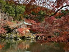 -醍醐寺