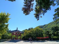 -香山公园