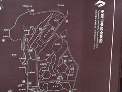 -天涯山