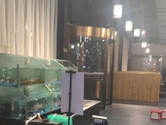 -桃源村铁锅炖鱼(体育馆道店)