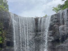 -新加坡飞禽公园
