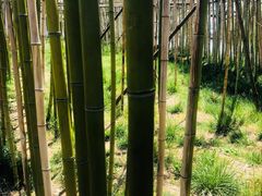 -孔子六艺文化园