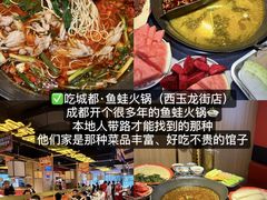 -吃城都·鱼蛙火锅(西玉龙街店)