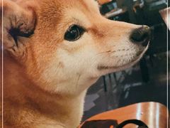 -海风酒吧 喝精酿 听民谣(阿那亚礼堂店)