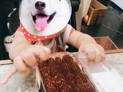 -布歌东京(金融街购物中心店)